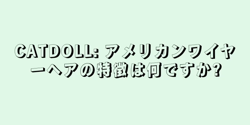CATDOLL: アメリカンワイヤーヘアの特徴は何ですか?