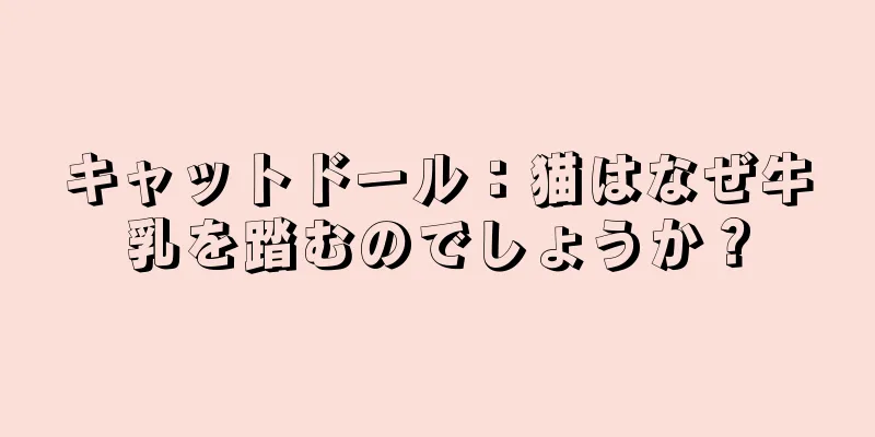キャットドール：猫はなぜ牛乳を踏むのでしょうか？