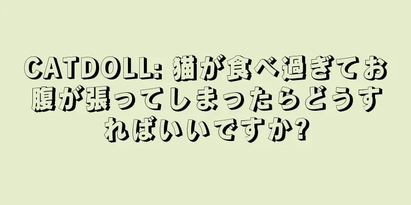 CATDOLL: 猫が食べ過ぎてお腹が張ってしまったらどうすればいいですか?