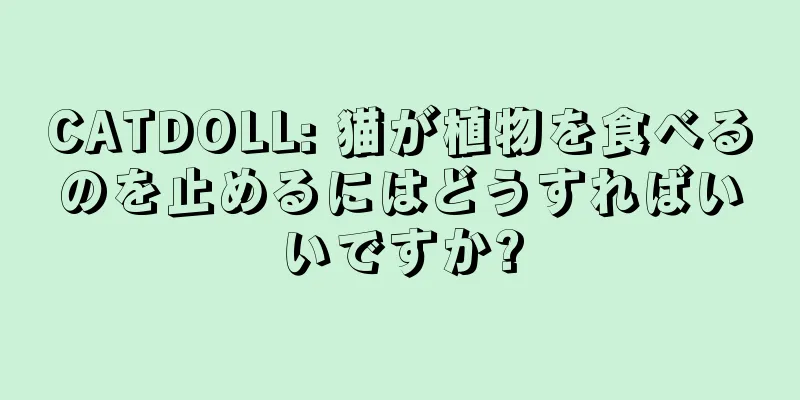 CATDOLL: 猫が植物を食べるのを止めるにはどうすればいいですか?