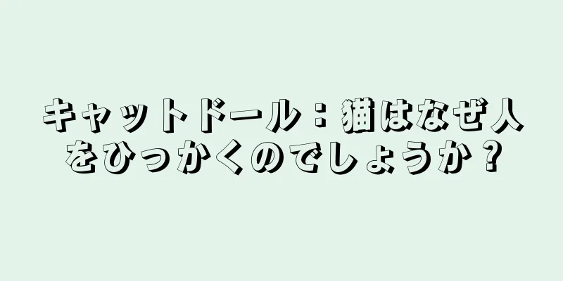キャットドール：猫はなぜ人をひっかくのでしょうか？