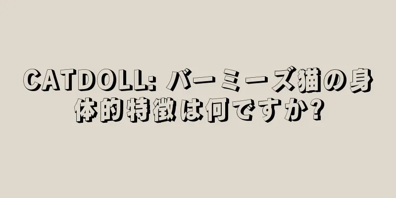 CATDOLL: バーミーズ猫の身体的特徴は何ですか?