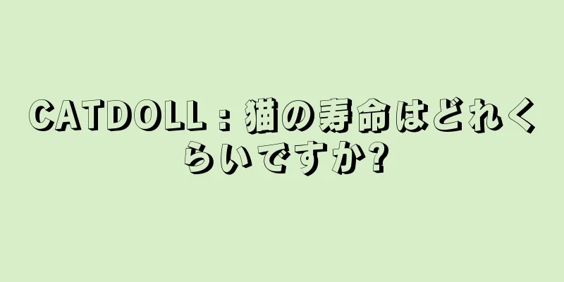 CATDOLL : 猫の寿命はどれくらいですか?