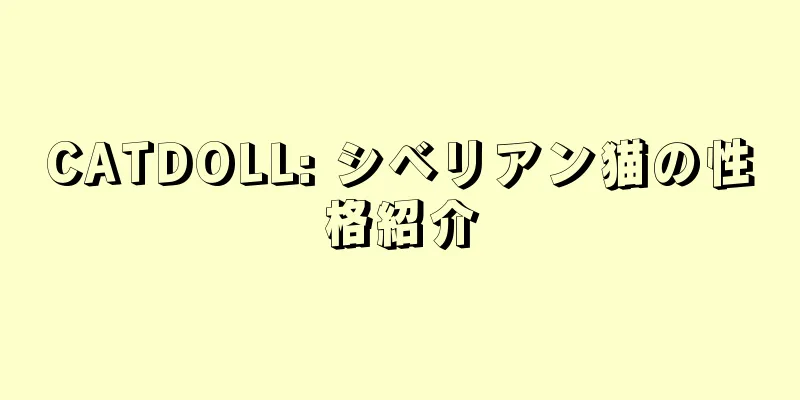 CATDOLL: シベリアン猫の性格紹介