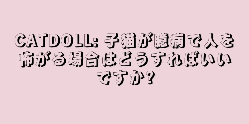 CATDOLL: 子猫が臆病で人を怖がる場合はどうすればいいですか?