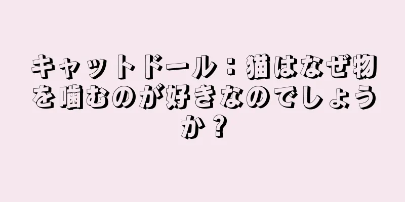 キャットドール：猫はなぜ物を噛むのが好きなのでしょうか？