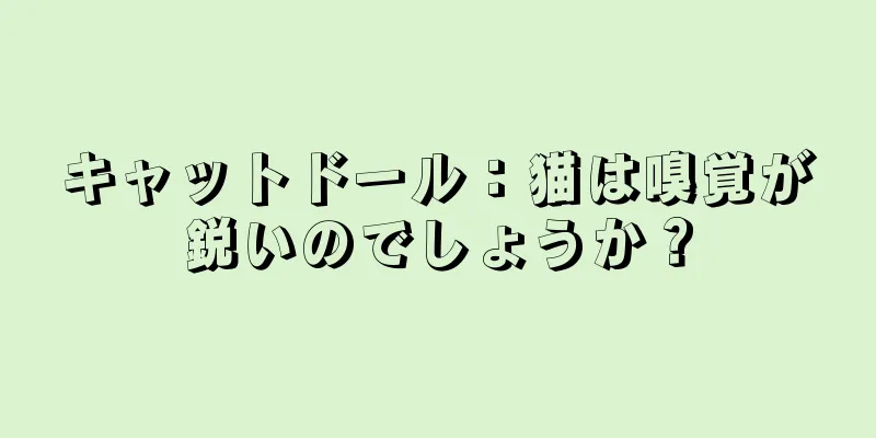 キャットドール：猫は嗅覚が鋭いのでしょうか？