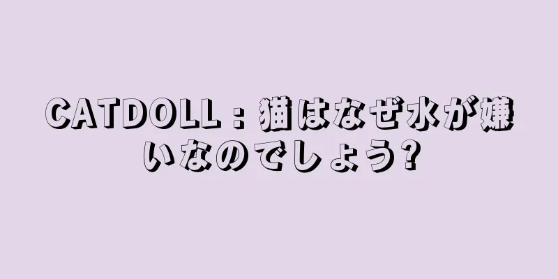 CATDOLL : 猫はなぜ水が嫌いなのでしょう?