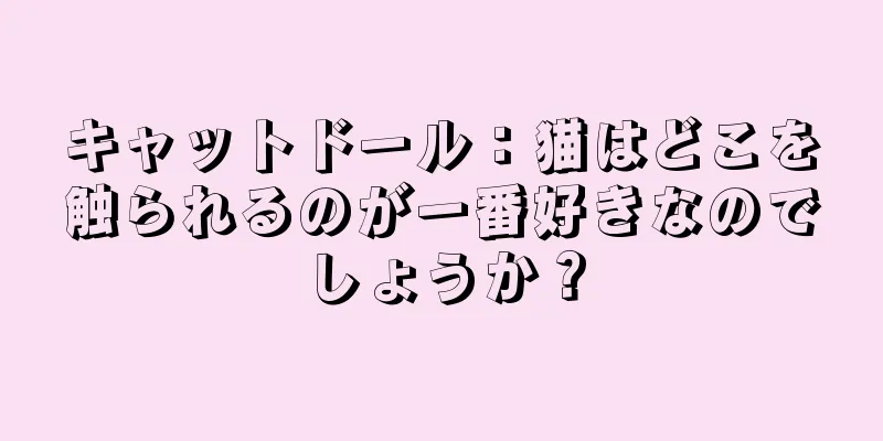 キャットドール：猫はどこを触られるのが一番好きなのでしょうか？