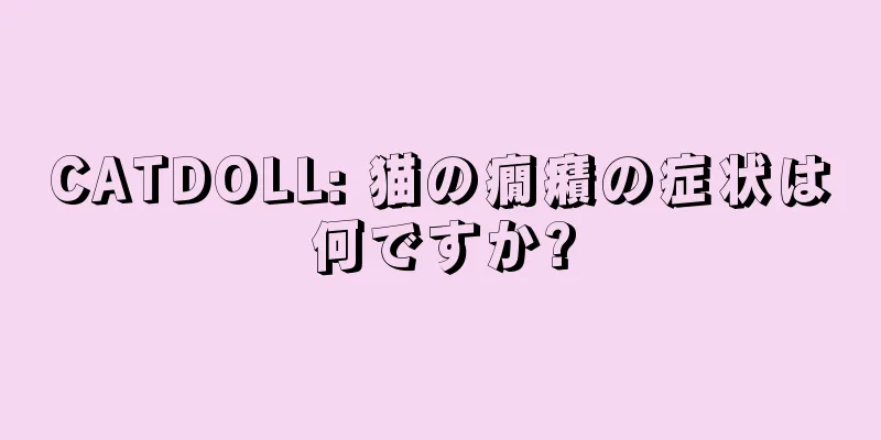 CATDOLL: 猫の癇癪の症状は何ですか?