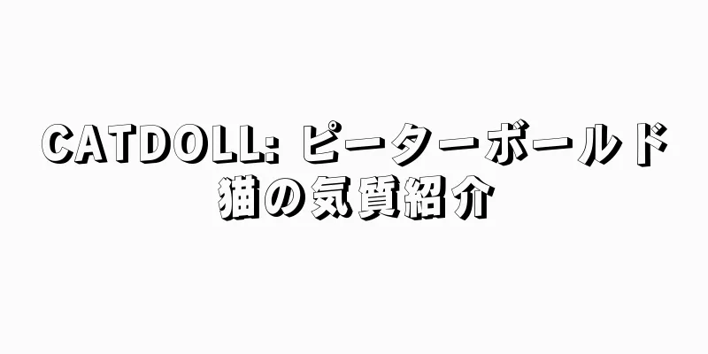 CATDOLL: ピーターボールド猫の気質紹介