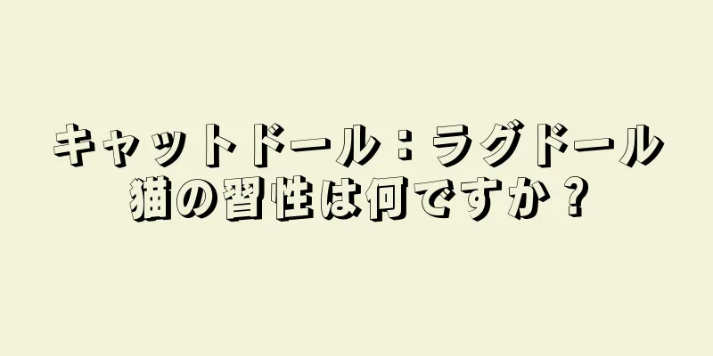 キャットドール：ラグドール猫の習性は何ですか？
