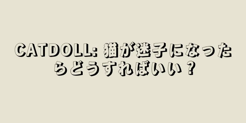 CATDOLL: 猫が迷子になったらどうすればいい？