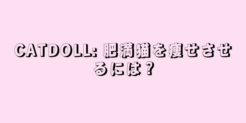 CATDOLL: 肥満猫を痩せさせるには？