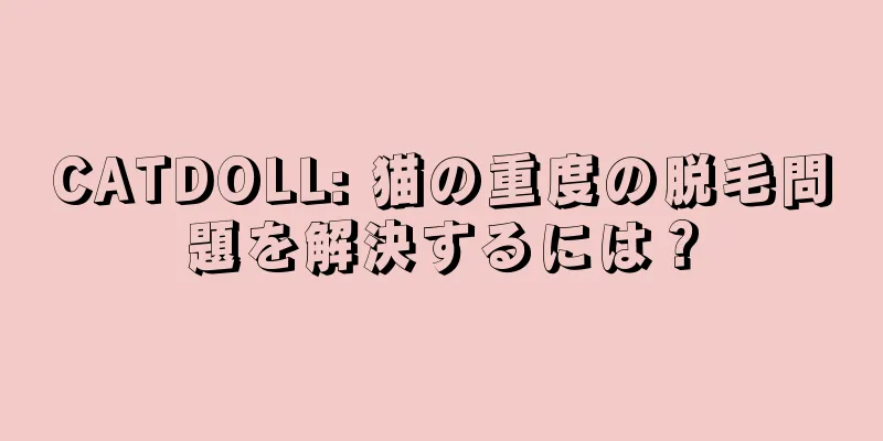 CATDOLL: 猫の重度の脱毛問題を解決するには？