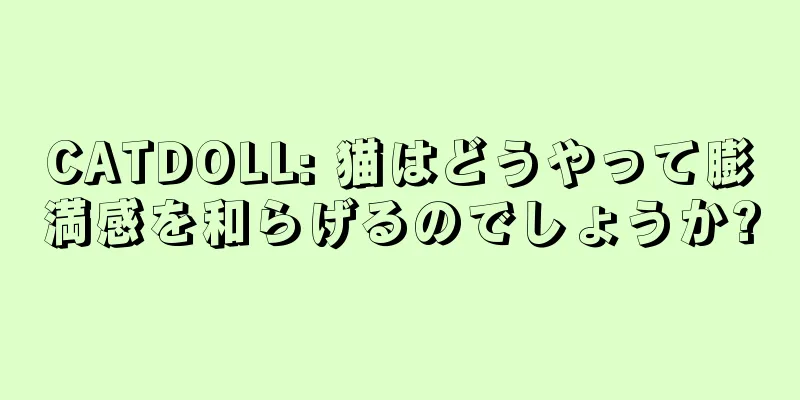 CATDOLL: 猫はどうやって膨満感を和らげるのでしょうか?