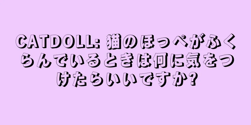 CATDOLL: 猫のほっぺがふくらんでいるときは何に気をつけたらいいですか?
