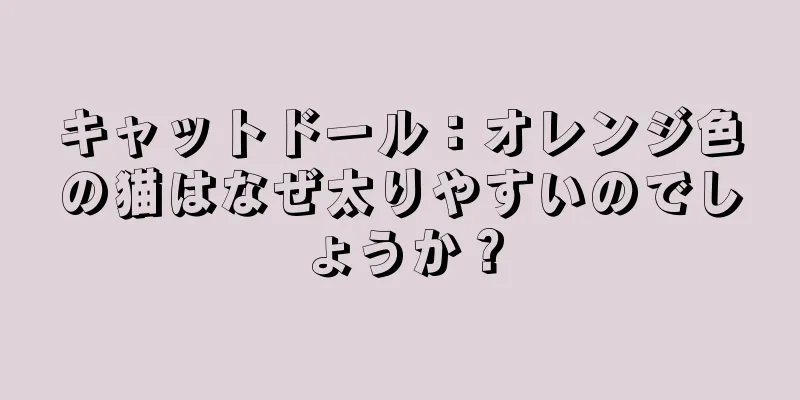 キャットドール：オレンジ色の猫はなぜ太りやすいのでしょうか？