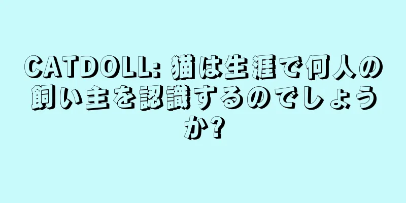CATDOLL: 猫は生涯で何人の飼い主を認識するのでしょうか?