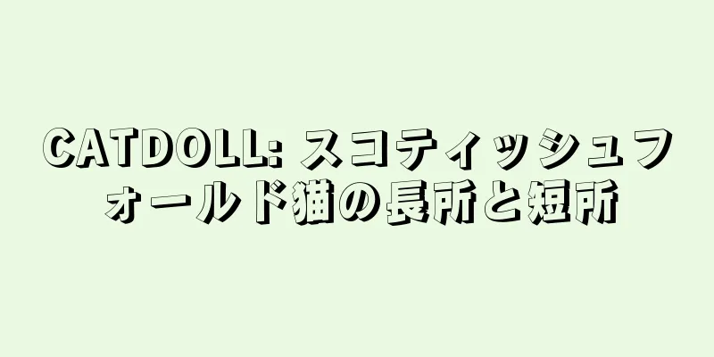 CATDOLL: スコティッシュフォールド猫の長所と短所