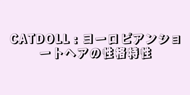CATDOLL : ヨーロピアンショートヘアの性格特性