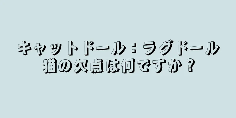 キャットドール：ラグドール猫の欠点は何ですか？