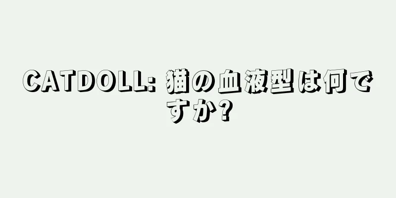CATDOLL: 猫の血液型は何ですか?