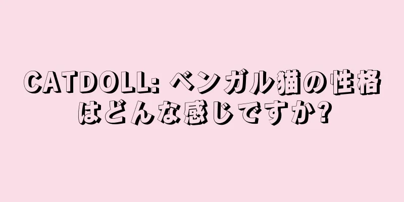 CATDOLL: ベンガル猫の性格はどんな感じですか?