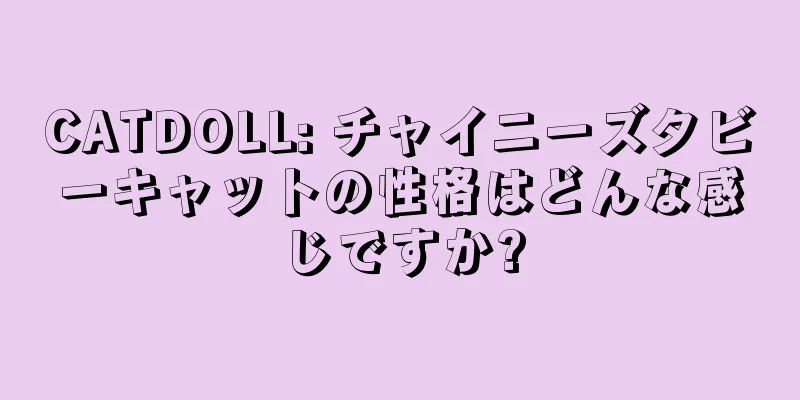 CATDOLL: チャイニーズタビーキャットの性格はどんな感じですか?