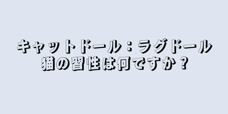 キャットドール：ラグドール猫の習性は何ですか？