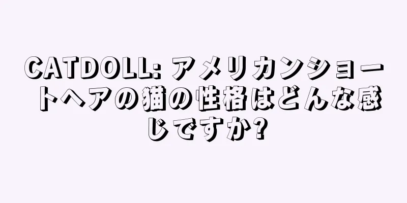 CATDOLL: アメリカンショートヘアの猫の性格はどんな感じですか?