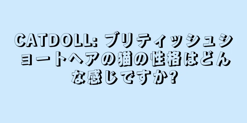 CATDOLL: ブリティッシュショートヘアの猫の性格はどんな感じですか?