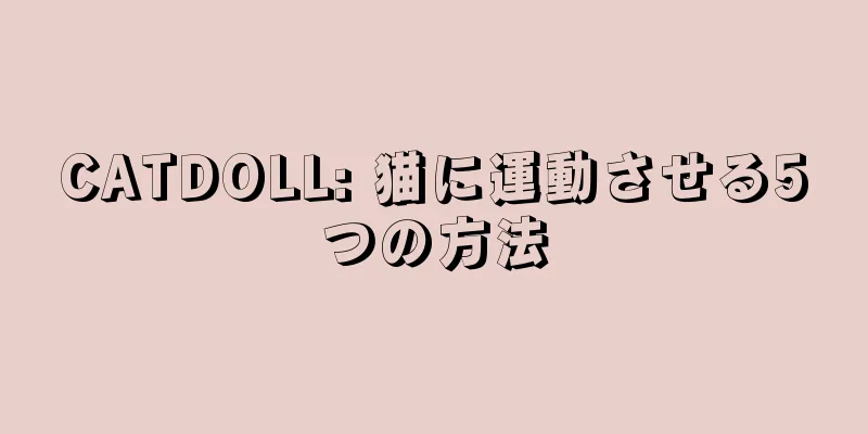 CATDOLL: 猫に運動させる5つの方法
