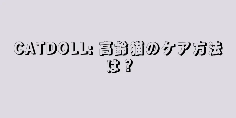 CATDOLL: 高齢猫のケア方法は？