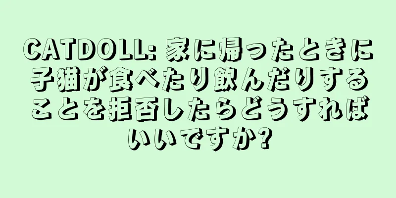 CATDOLL: 家に帰ったときに子猫が食べたり飲んだりすることを拒否したらどうすればいいですか?