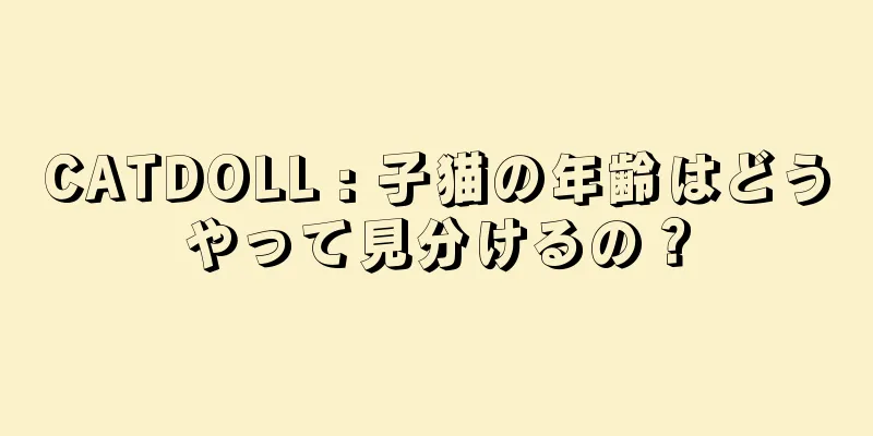 CATDOLL : 子猫の年齢はどうやって見分けるの？