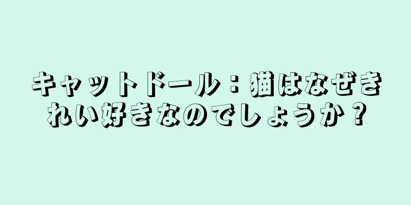 キャットドール：猫はなぜきれい好きなのでしょうか？