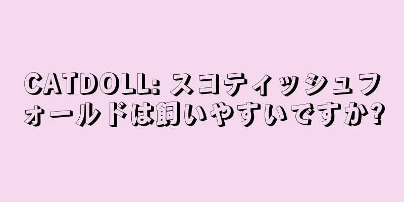 CATDOLL: スコティッシュフォールドは飼いやすいですか?