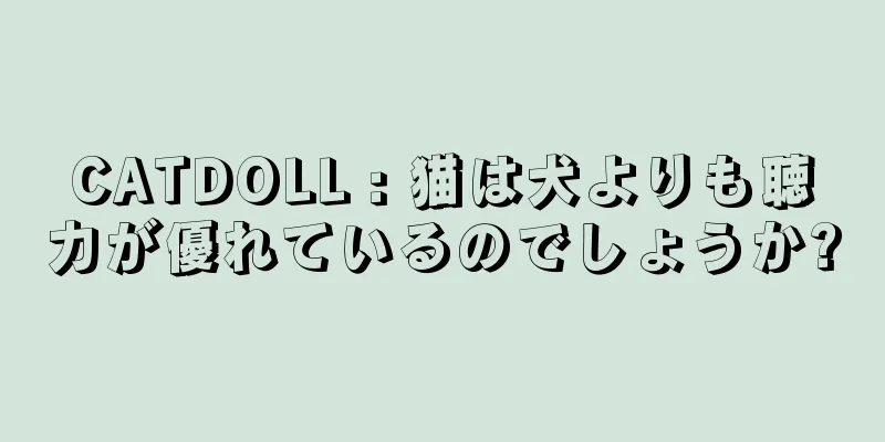 CATDOLL : 猫は犬よりも聴力が優れているのでしょうか?
