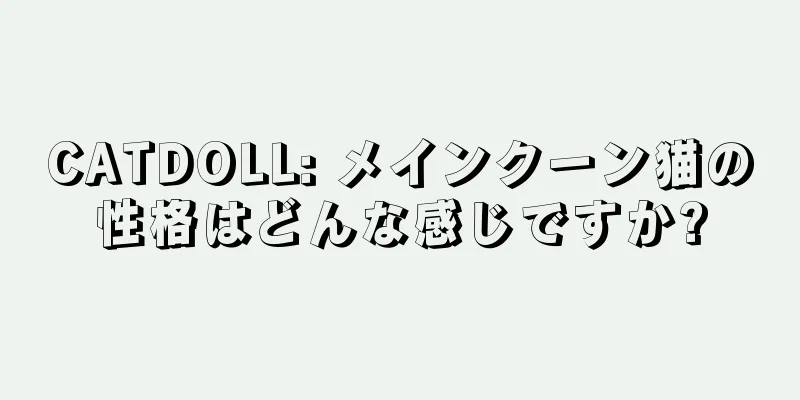 CATDOLL: メインクーン猫の性格はどんな感じですか?