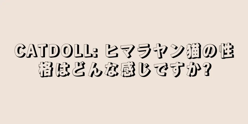 CATDOLL: ヒマラヤン猫の性格はどんな感じですか?