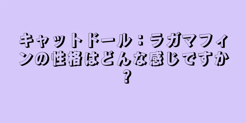 キャットドール：ラガマフィンの性格はどんな感じですか？