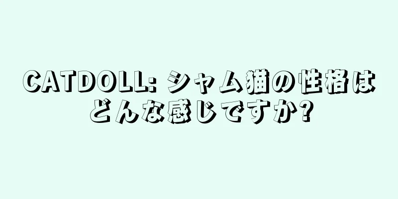 CATDOLL: シャム猫の性格はどんな感じですか?