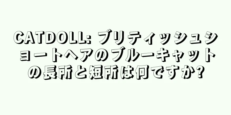 CATDOLL: ブリティッシュショートヘアのブルーキャットの長所と短所は何ですか?