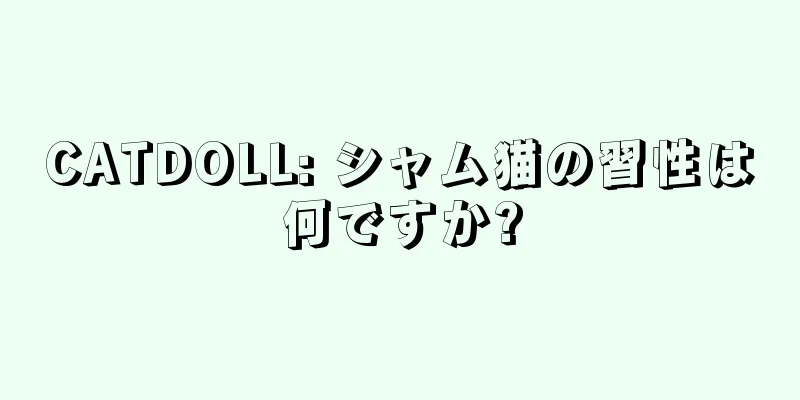 CATDOLL: シャム猫の習性は何ですか?