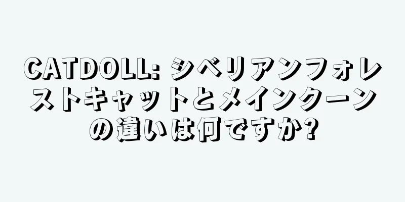 CATDOLL: シベリアンフォレストキャットとメインクーンの違いは何ですか?