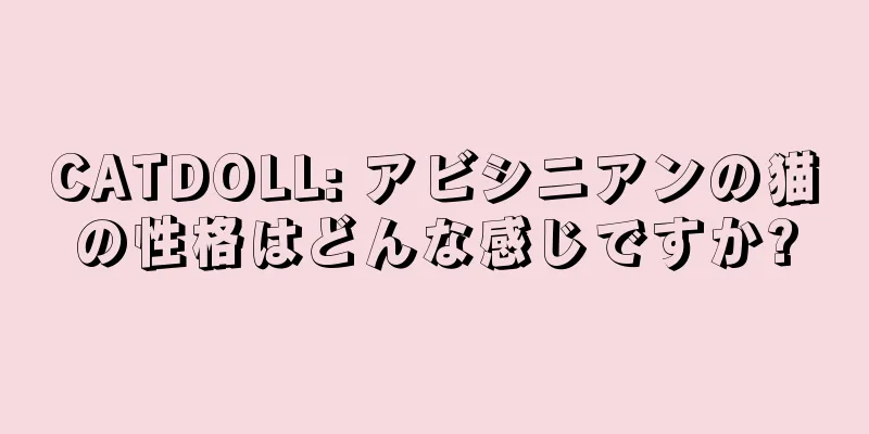 CATDOLL: アビシニアンの猫の性格はどんな感じですか?