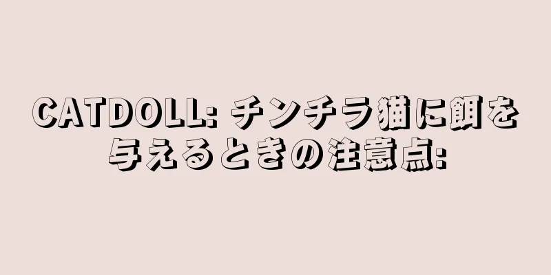 CATDOLL: チンチラ猫に餌を与えるときの注意点: