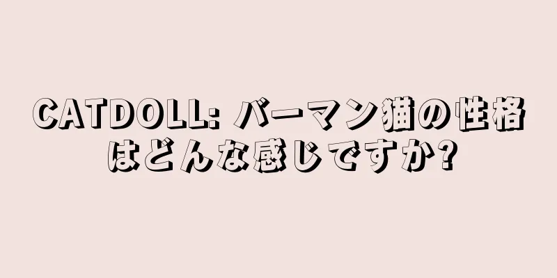 CATDOLL: バーマン猫の性格はどんな感じですか?