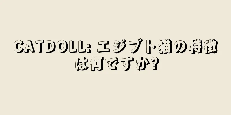CATDOLL: エジプト猫の特徴は何ですか?